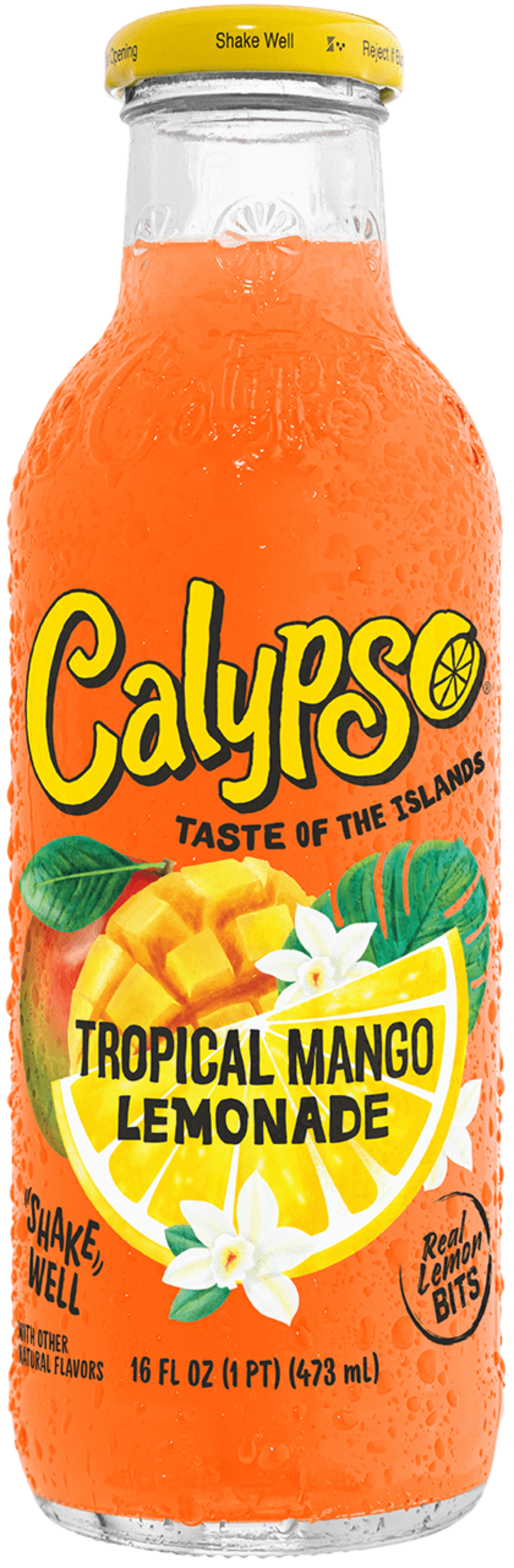 Calypso Tropical Mango (473ml x 12)